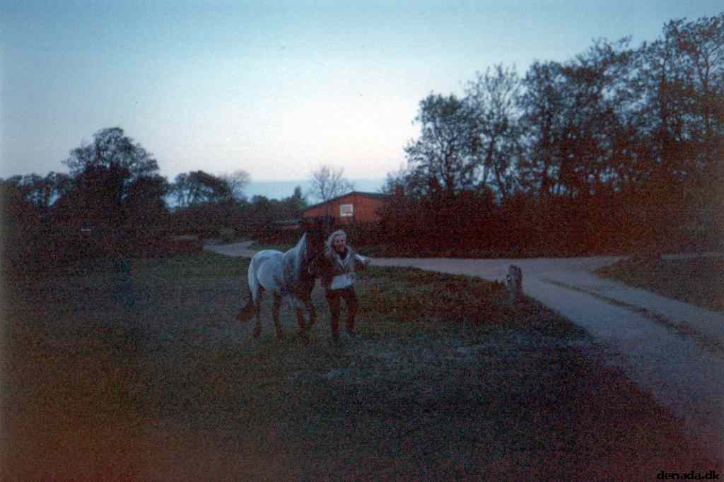 * Image 19