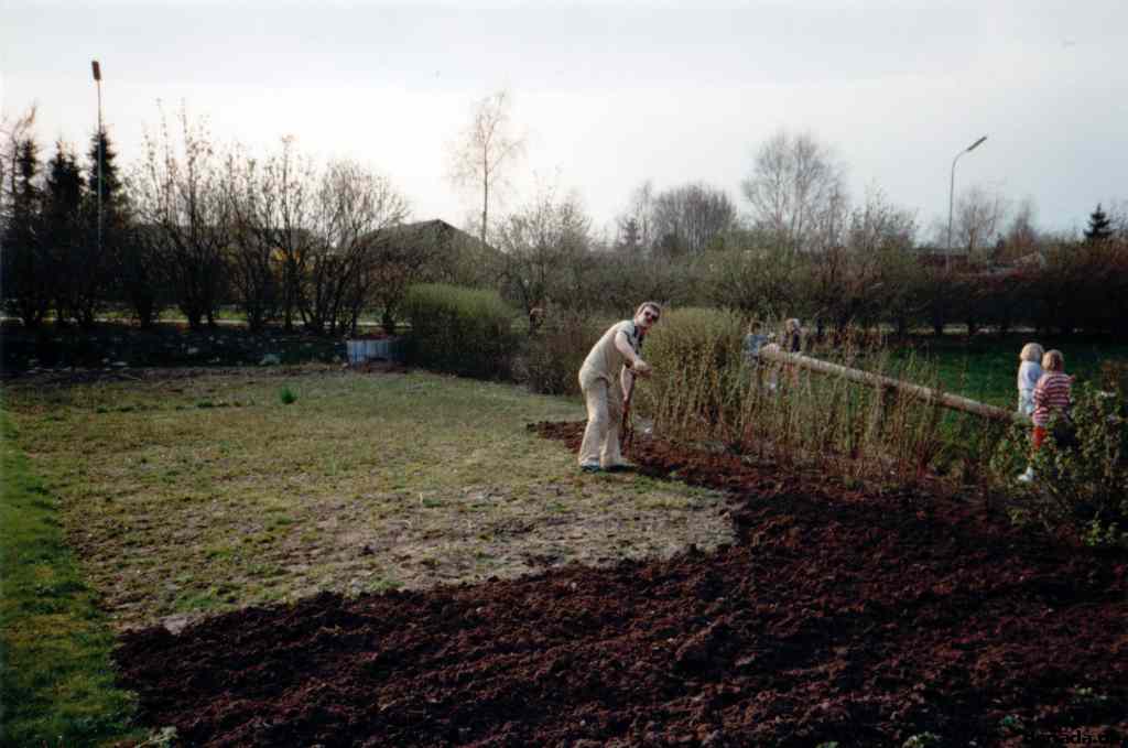 * Image 12