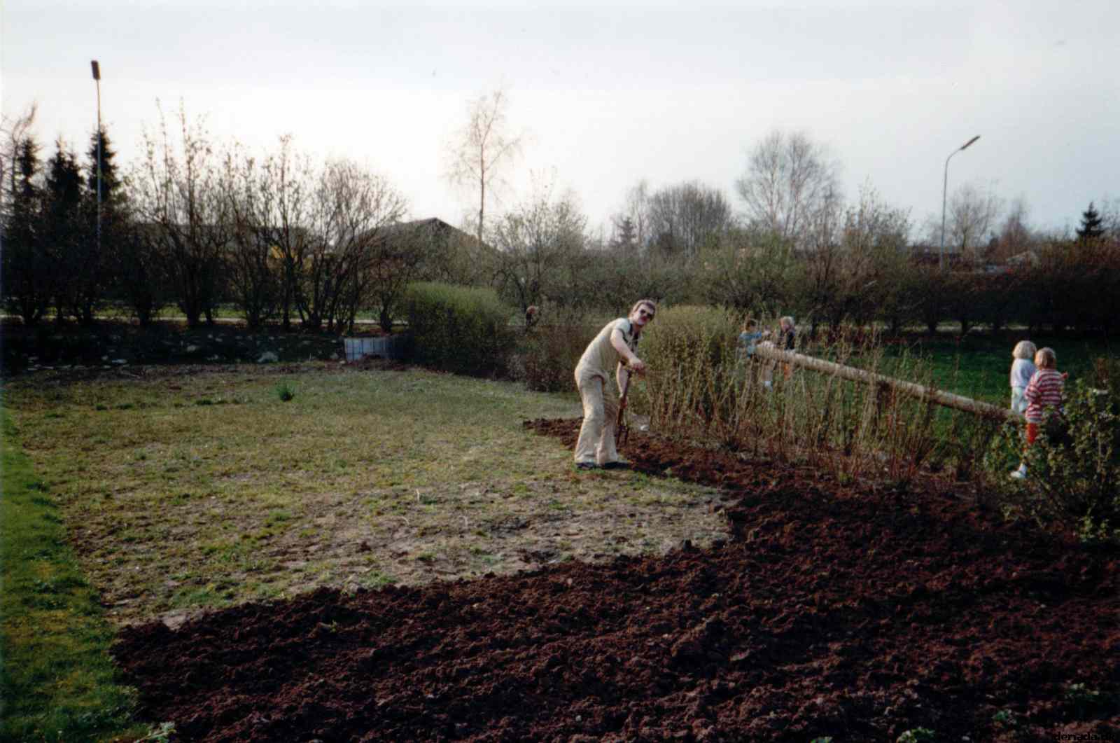 * Image 12