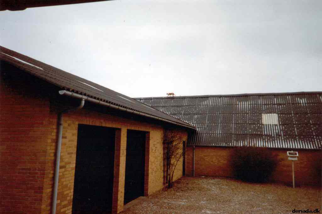 * Image 2