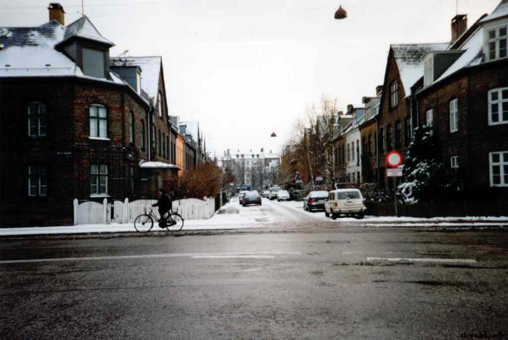 * Image 8