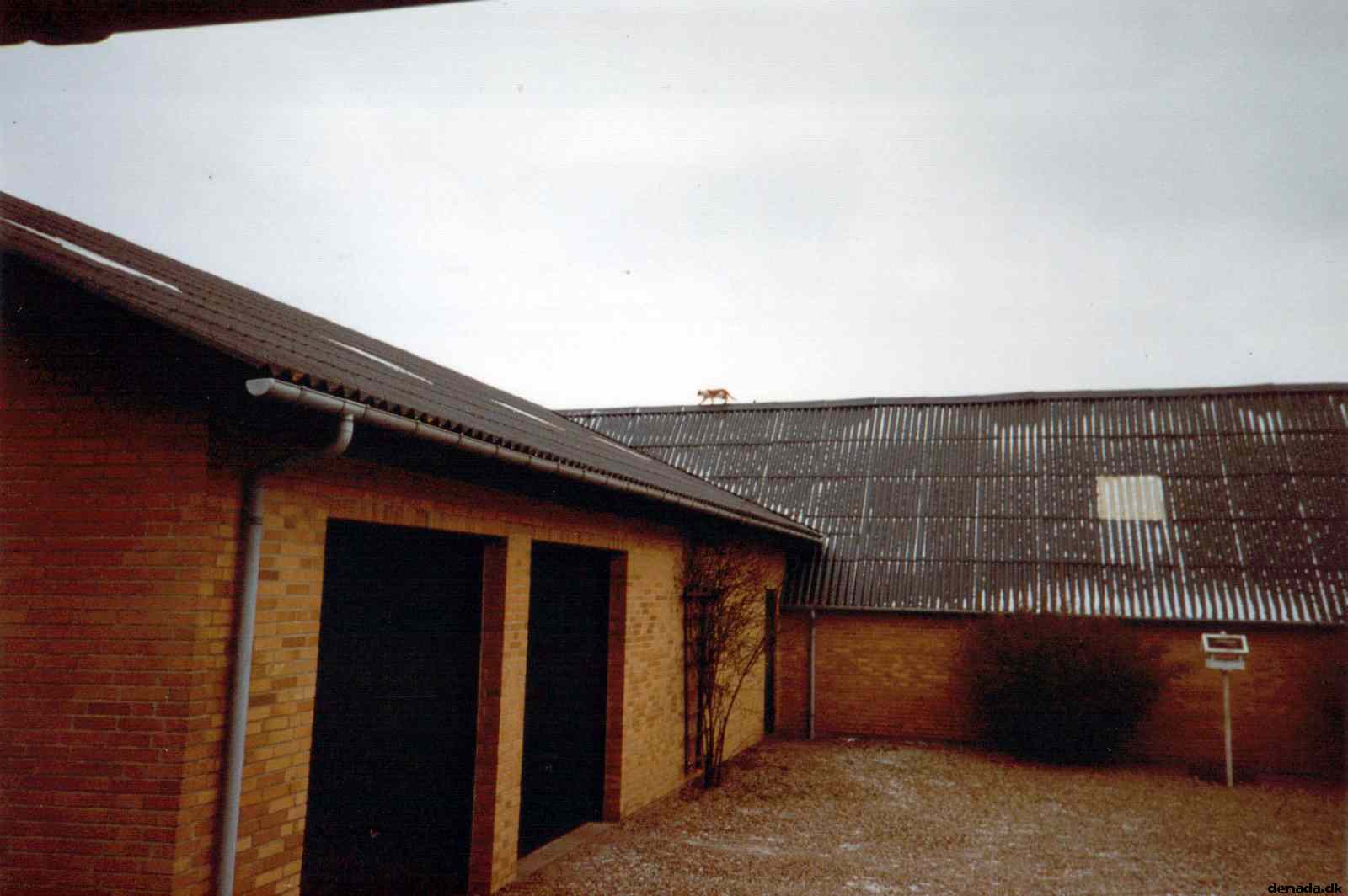 * Image 2