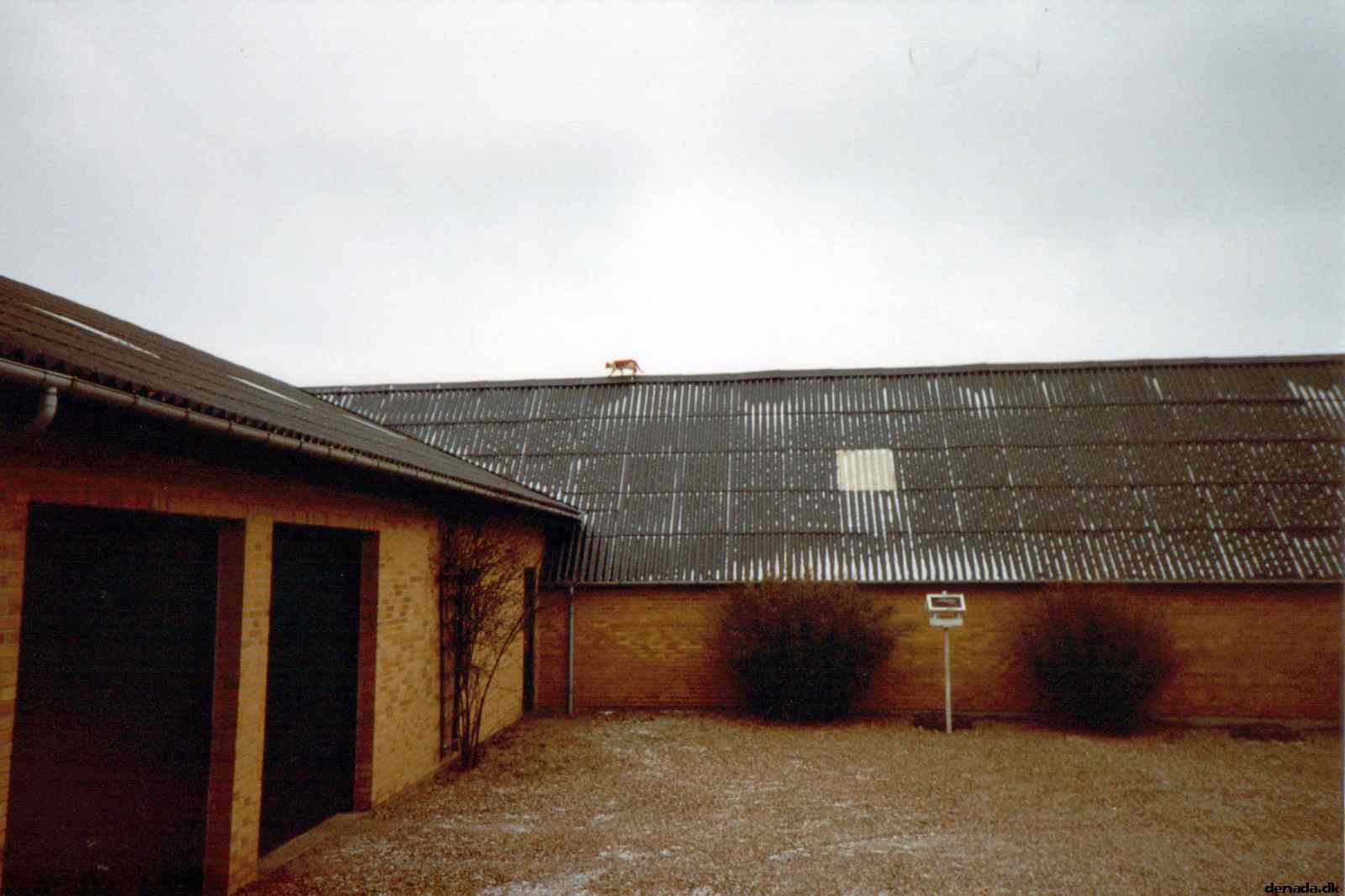 * Image 1
