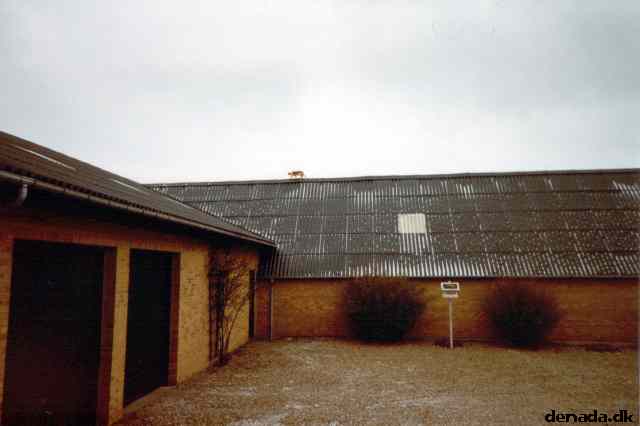* Image 1