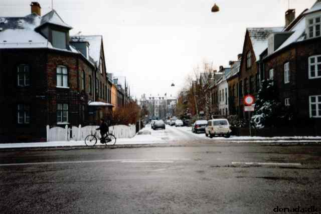 * Image 8