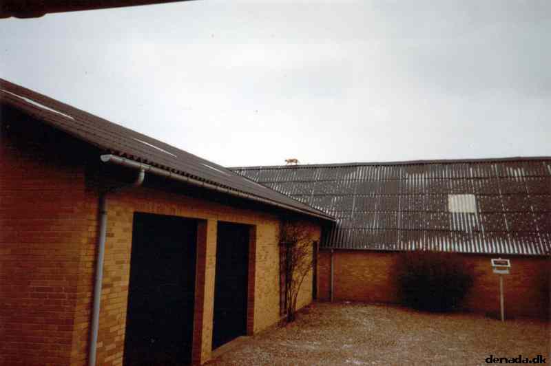 * Image 2