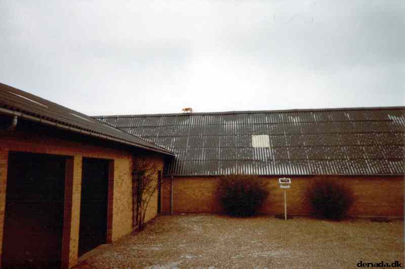 * Image 1