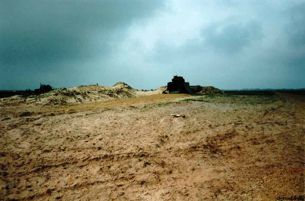 * Image 15