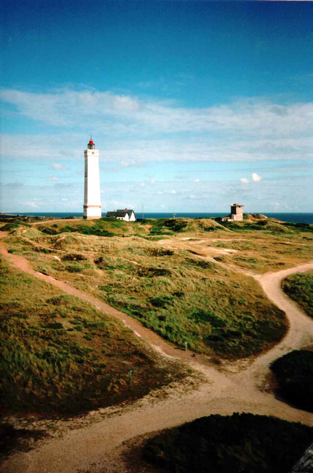 * Image 12