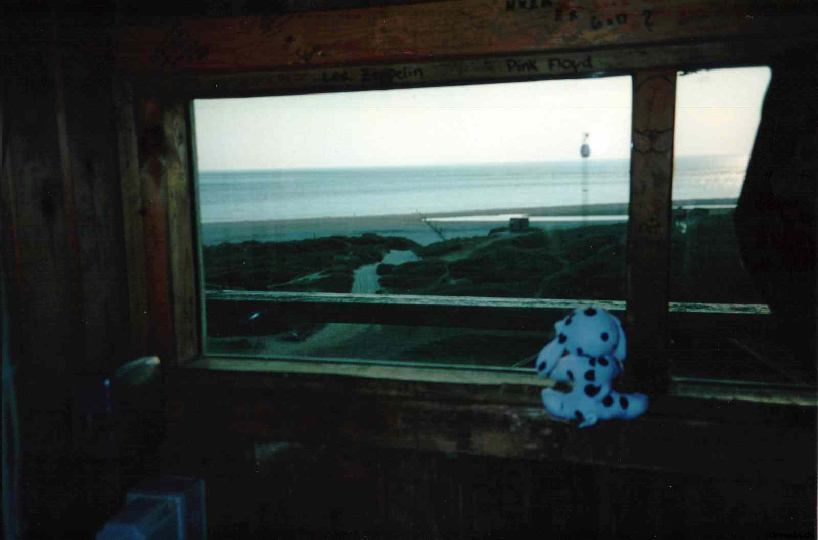 * Image 9