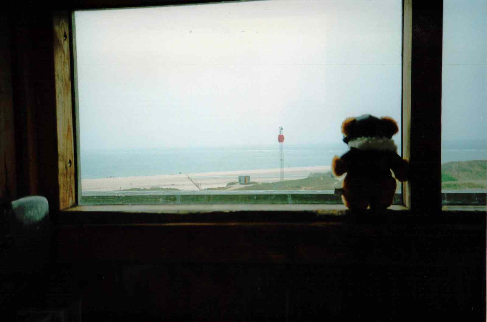 * Image 11
