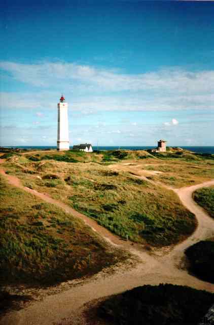 * Image 12