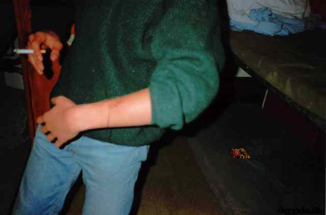 * Image 3