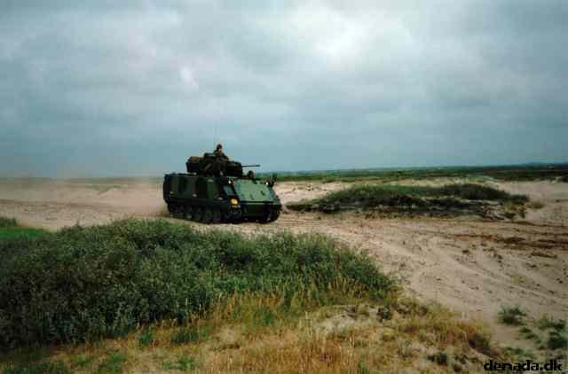 * Image 13
