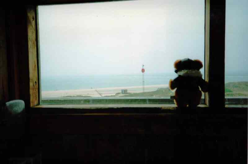 * Image 11