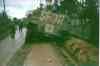 IM000095.JPG - 
