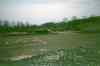 IM000111.JPG - 