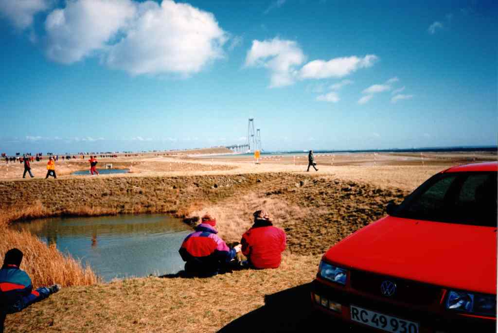 * Image 19