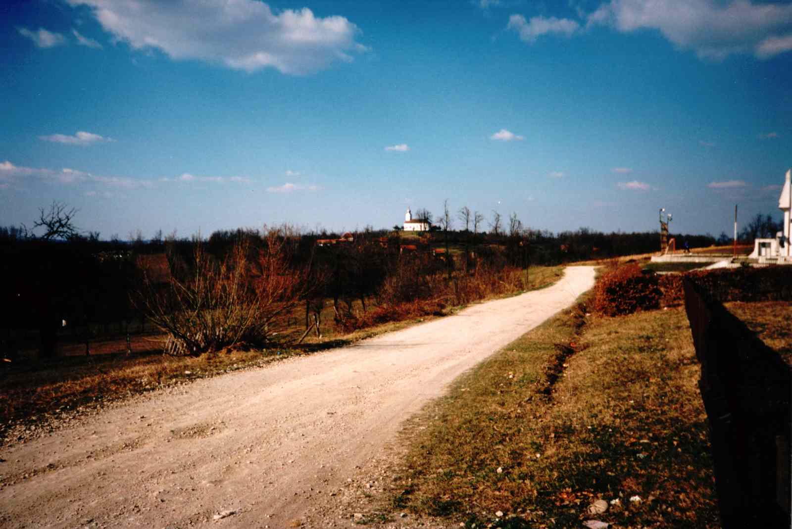 * Image 6