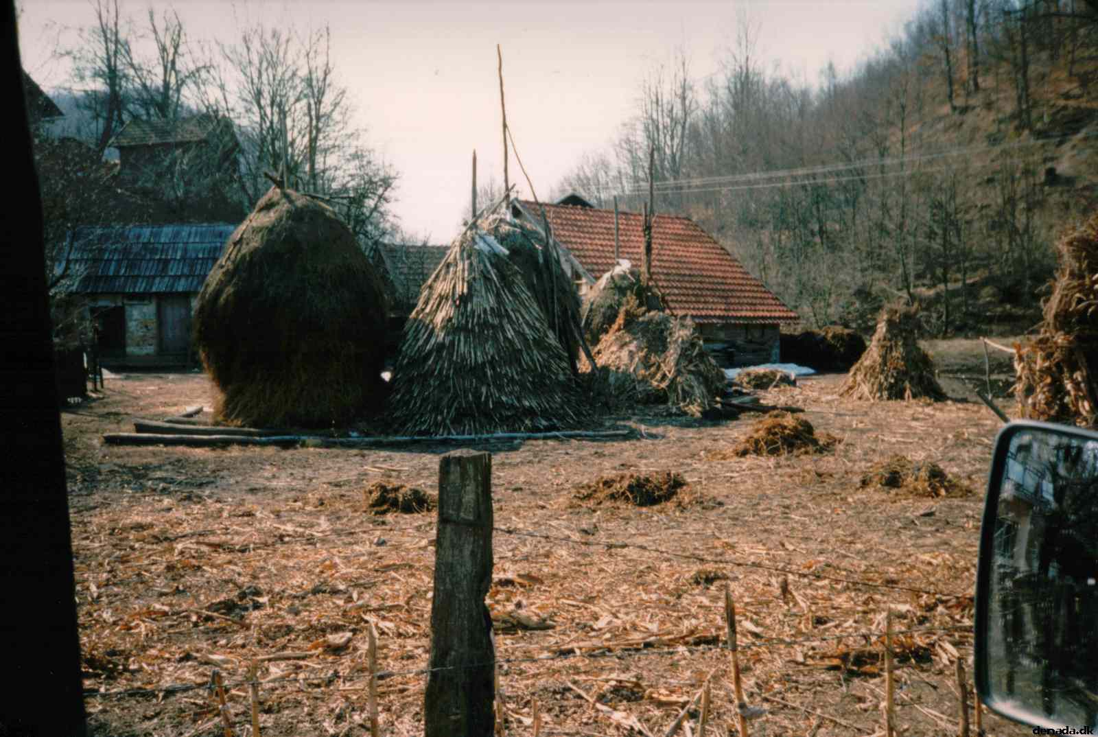 * Image 3