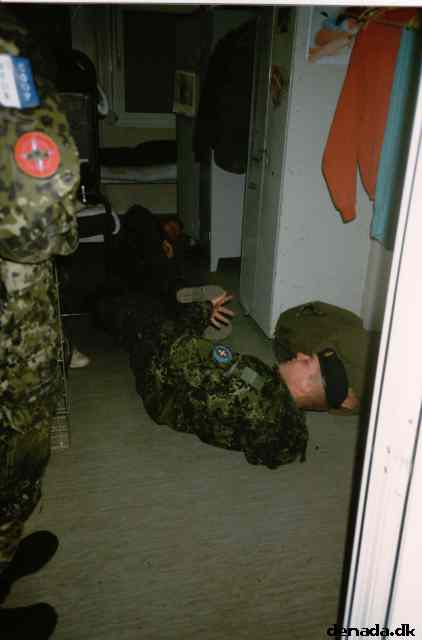 * Image 2