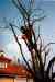 IM000104.JPG - 