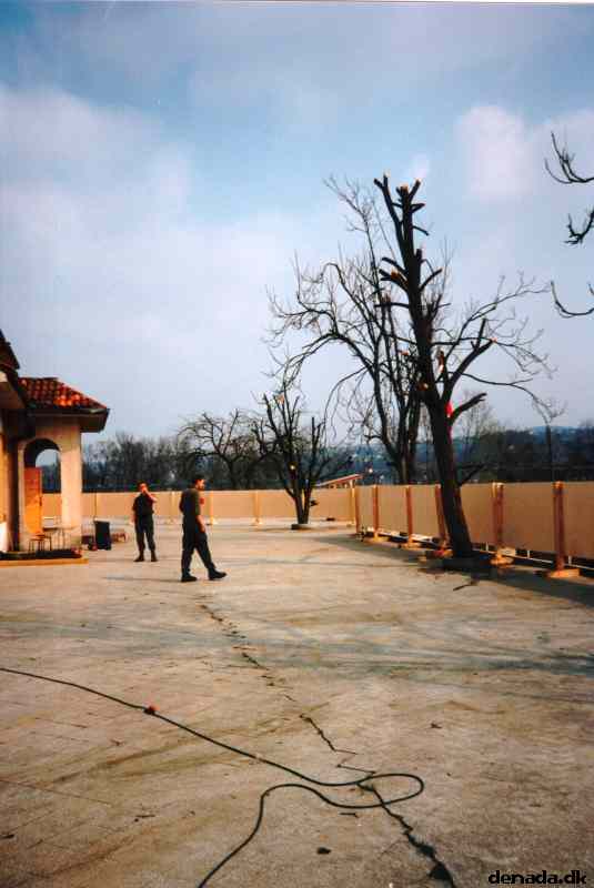 * Image 11
