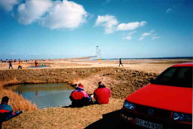* Image 19