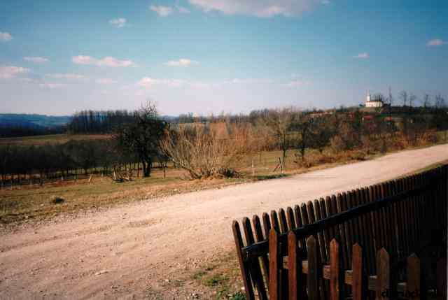 * Image 7
