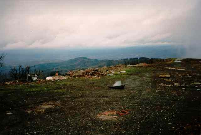 * Image 24
