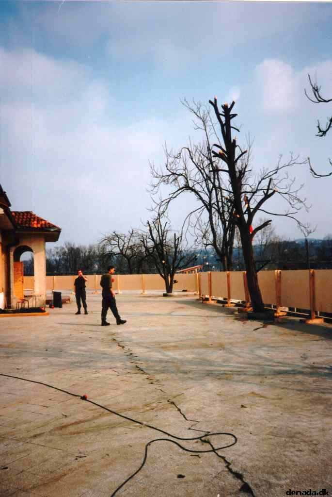 * Image 11