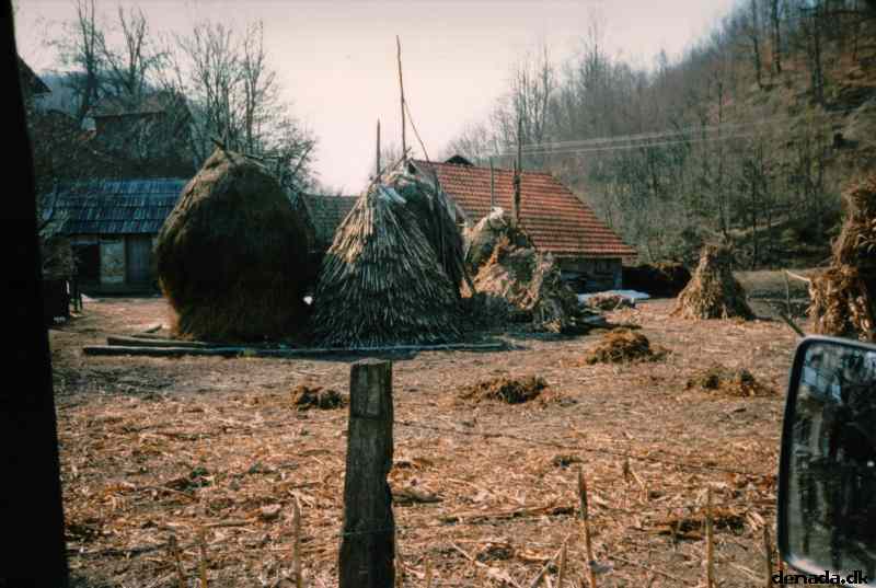 * Image 3