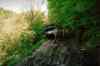 IM000125.JPG - 