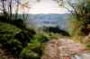 IM000128.JPG - 
