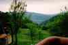 IM000142.JPG - 