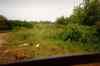 IM000147.JPG - 