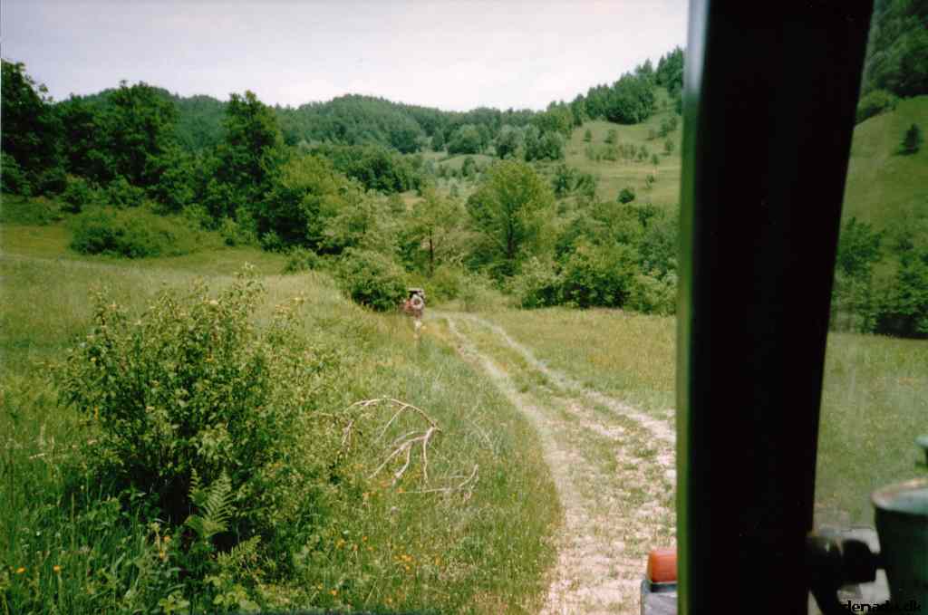 * Image 26