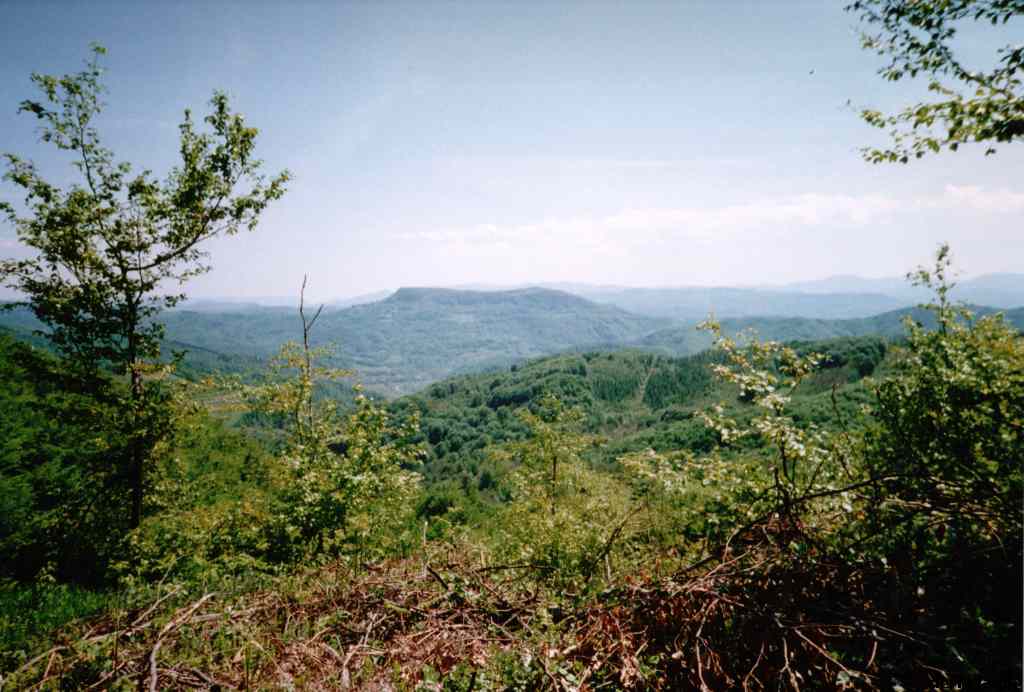 * Image 6
