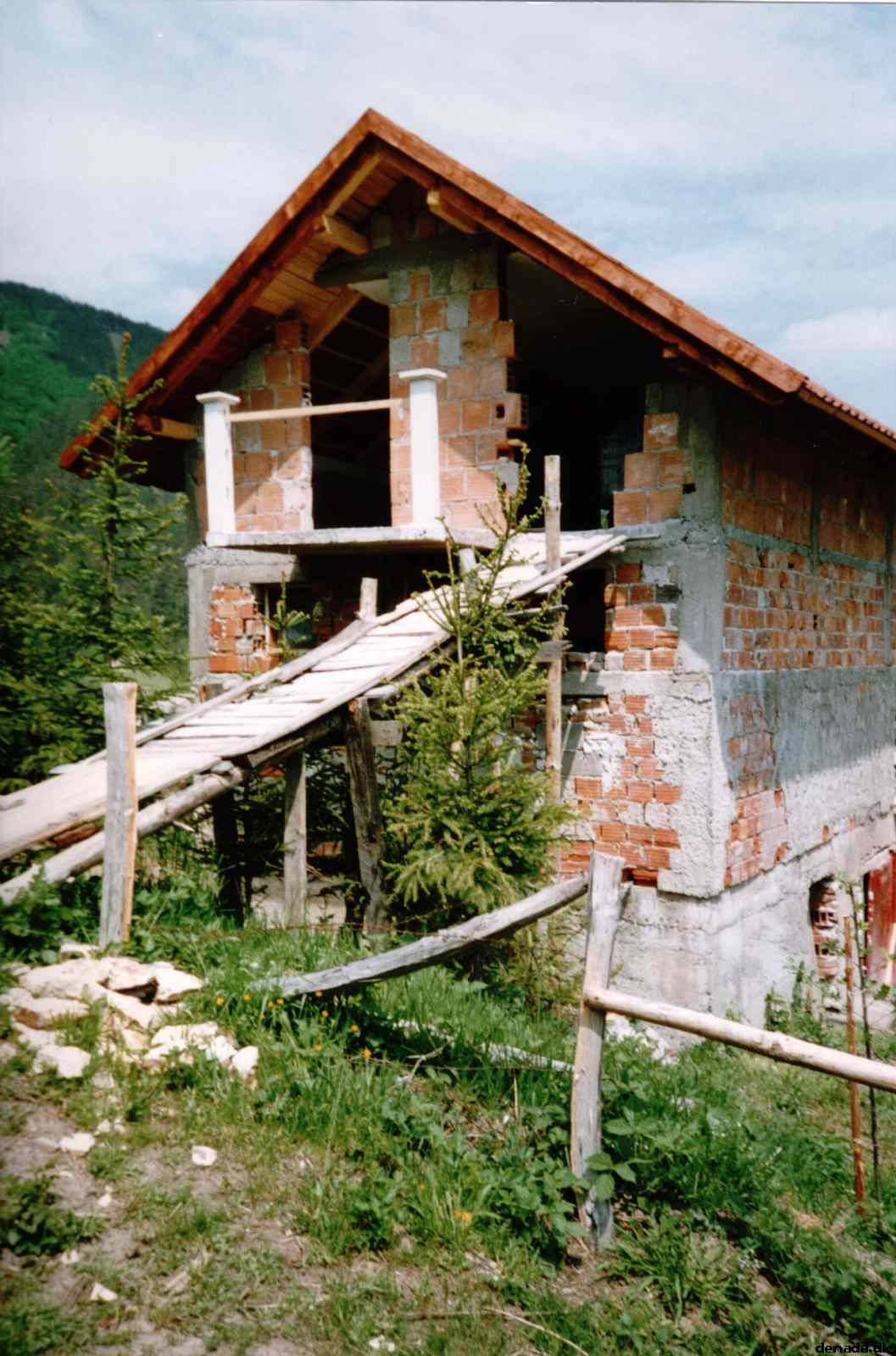 * Image 19