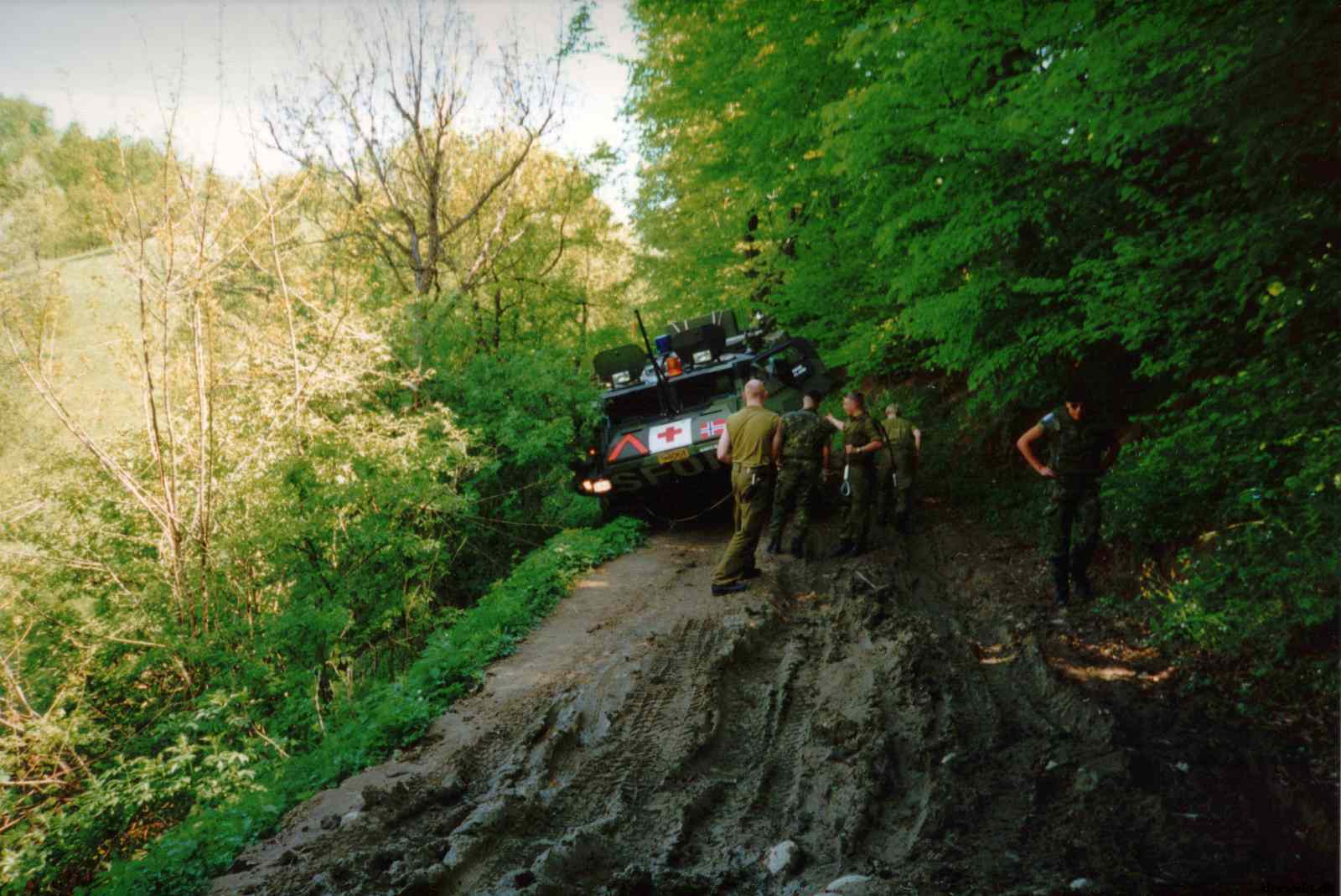 * Image 7