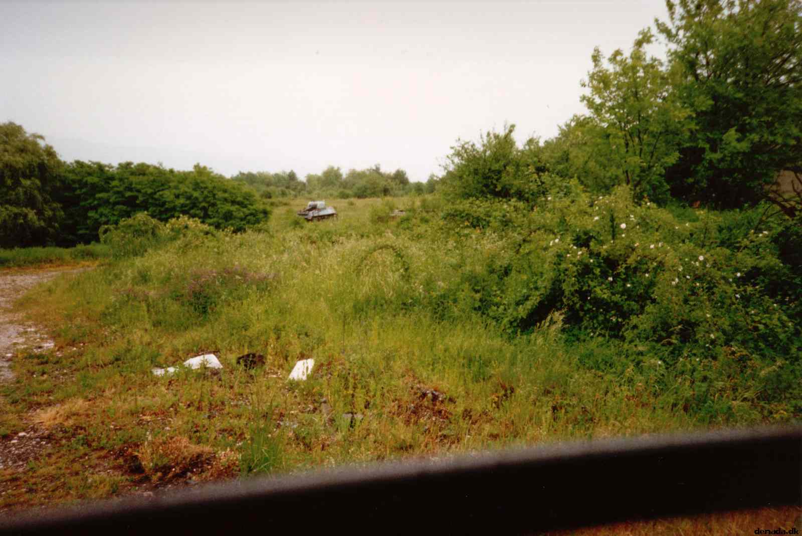 * Image 29