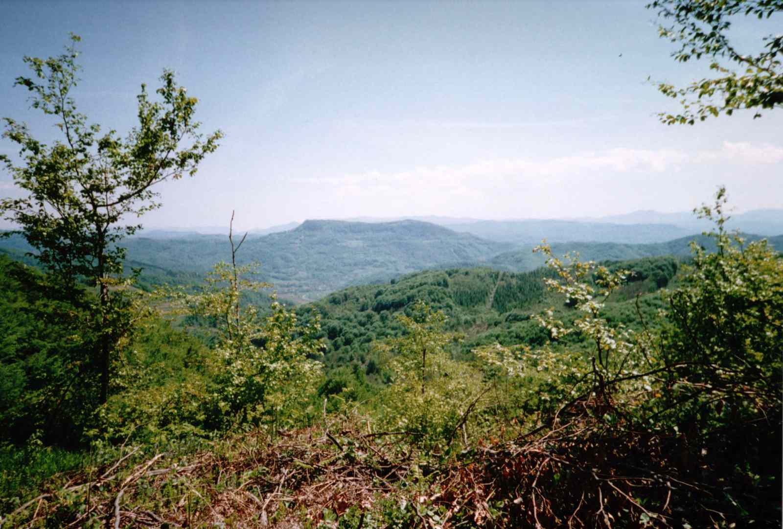 * Image 6