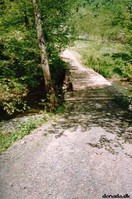 * Image 15