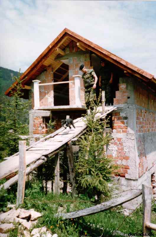 * Image 20