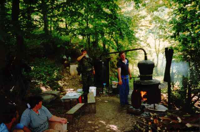 * Image 25