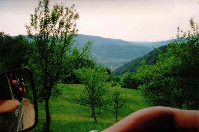 * Image 24