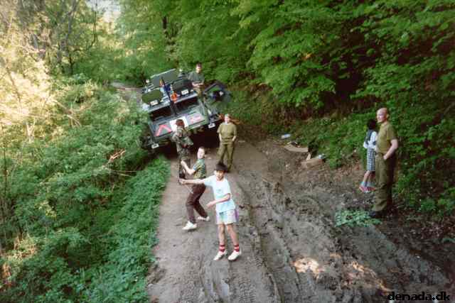 * Image 8