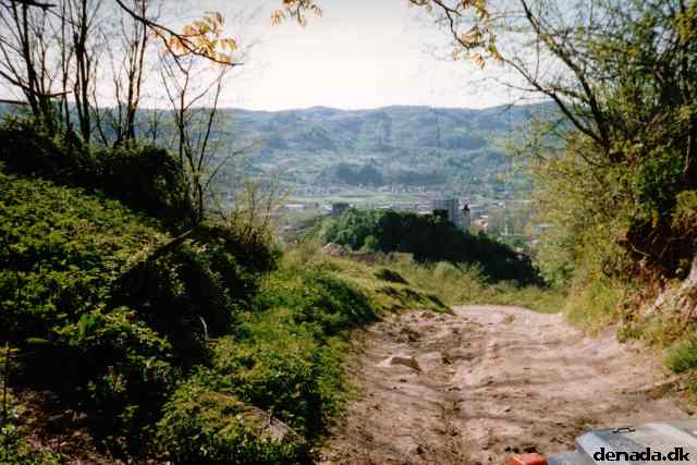 * Image 10