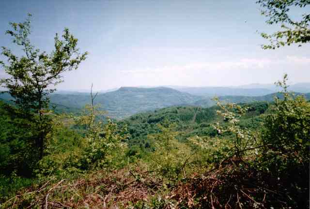 * Image 6