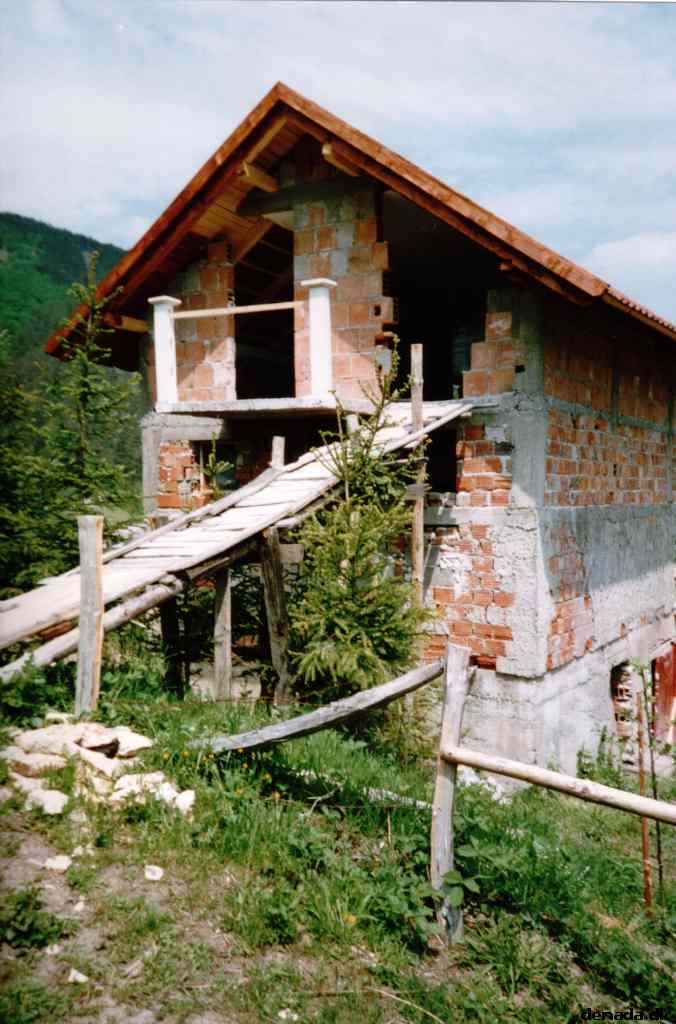* Image 19
